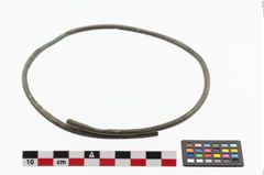 Foto von Bronzehalsring (NHMW-PRAE-023867)